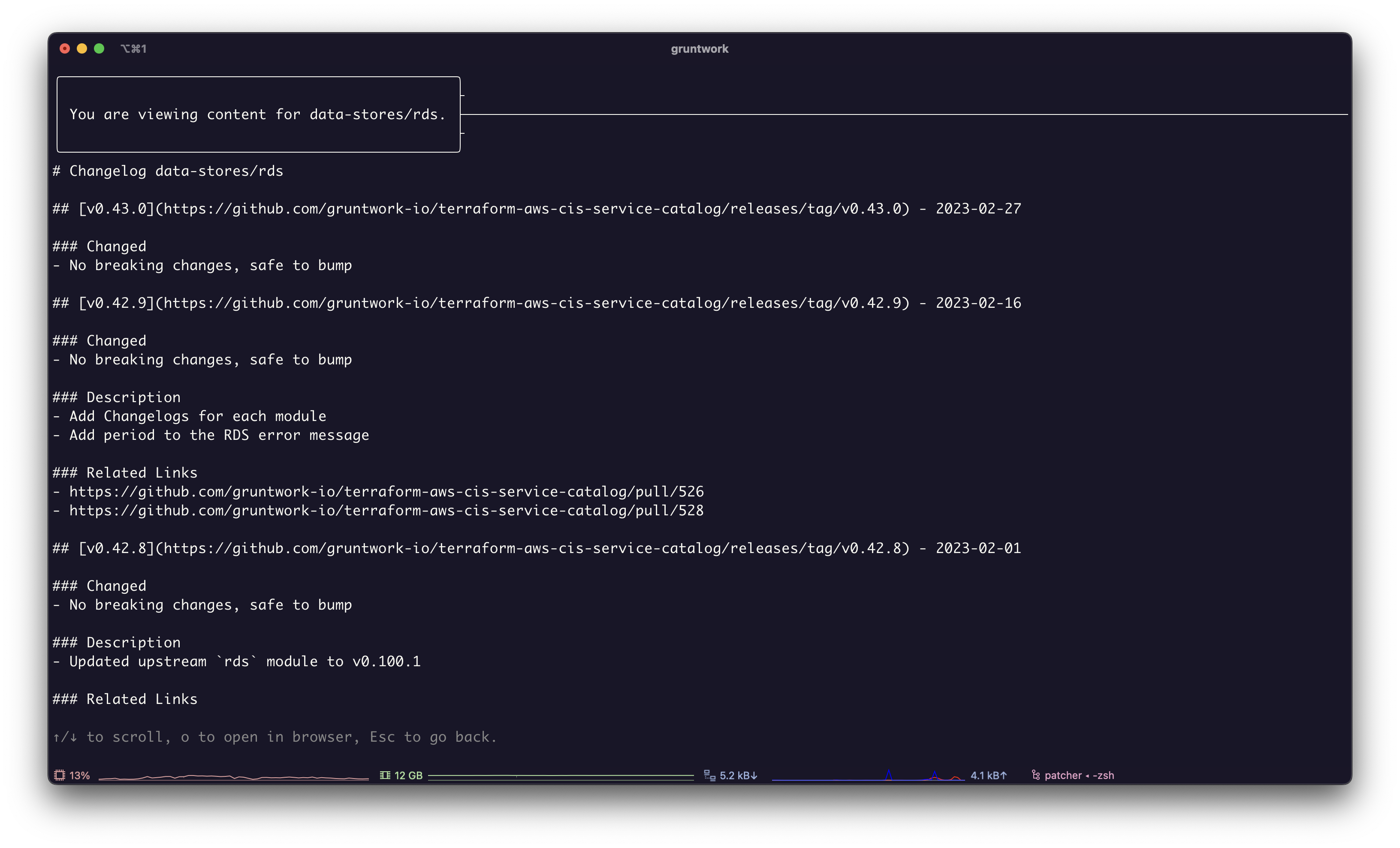 Screenshot of Patcher with changelogs for a module.