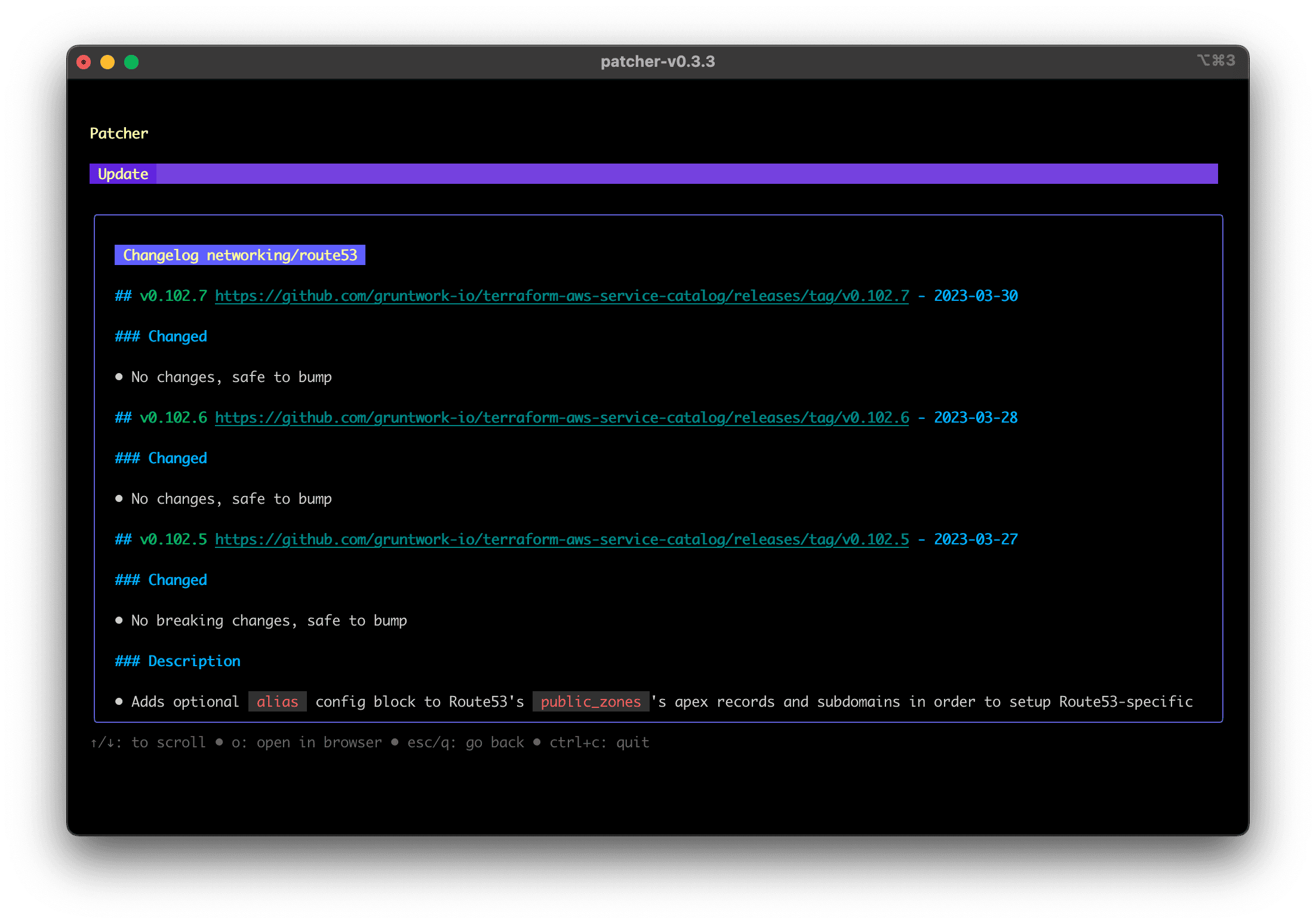 Patcher changelogs screenshot